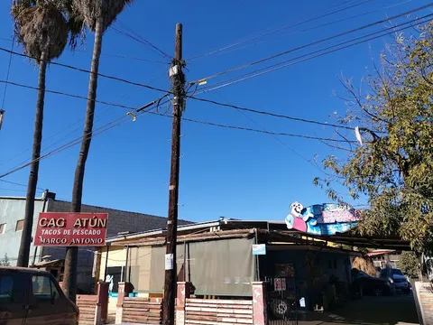 Tacos Marco Antonio — Mexican — Baja California Highway 1 — Mexico