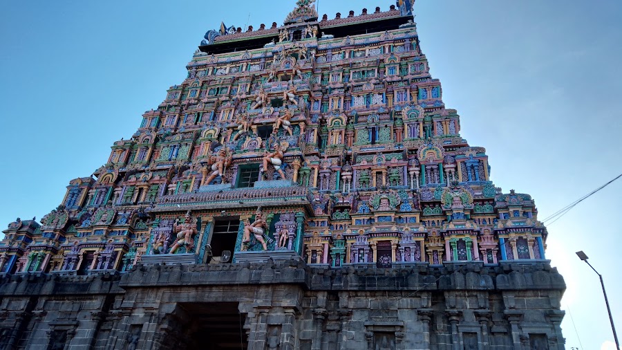 Hotel Saradharam restaurant — South Indian vegetarian — Tamil Nadu Temple Route: Chennai to Madurai — India