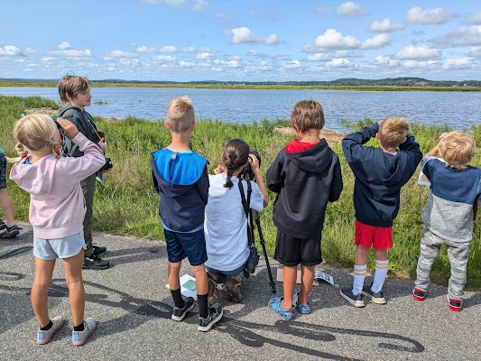 Plum Island