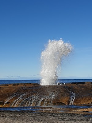 Bicheno Blowhole
