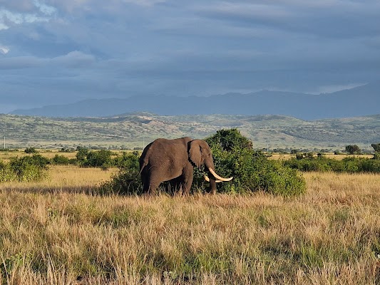 Queen Elizabeth National Park