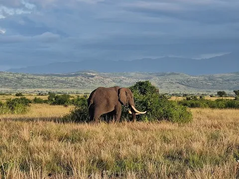 Queen Elizabeth National Park — Nature — Uganda Fort Portal to Bwindi — Uganda