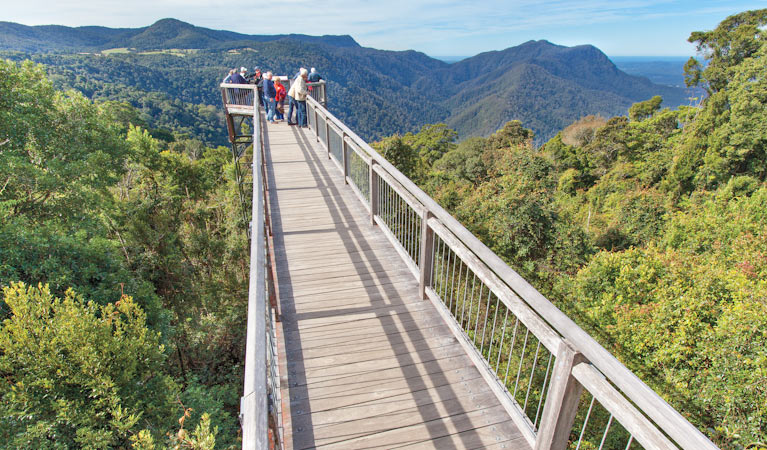 Dorrigo Rainforest Centre and Skywalk — Rainforest and viewpoint — Waterfall Way — Australia