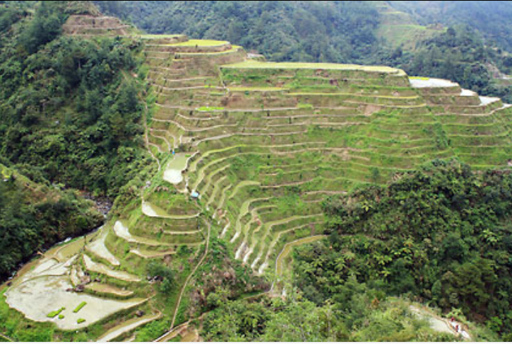 Banaue — Nature — Luzon Cordillera Route — Philippines