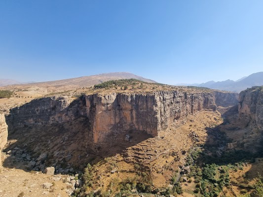 Hamilton Road Viewpoint