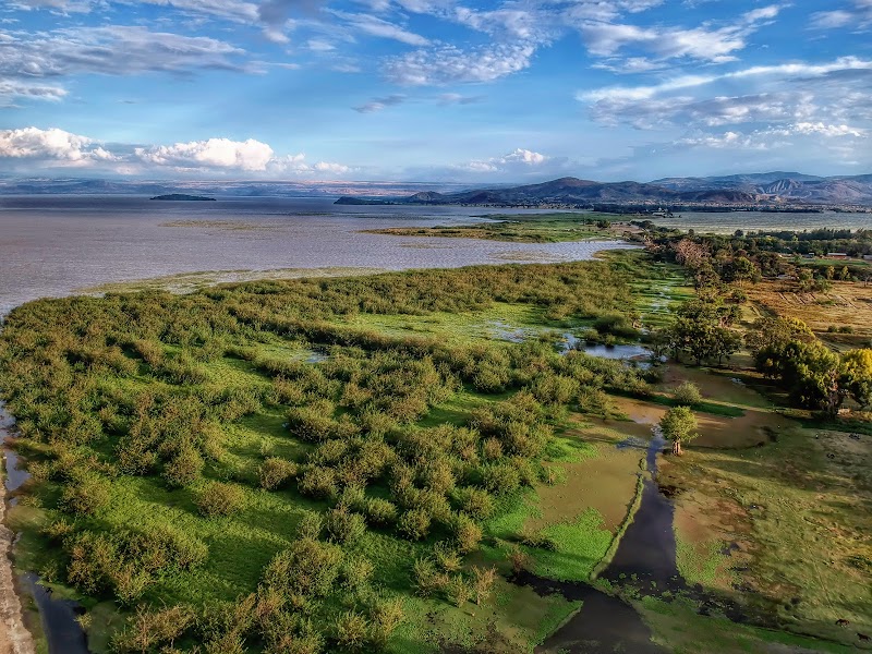 Lake Ziway Birding — birdwatching — Omo Valley Tribal Route — Ethiopia