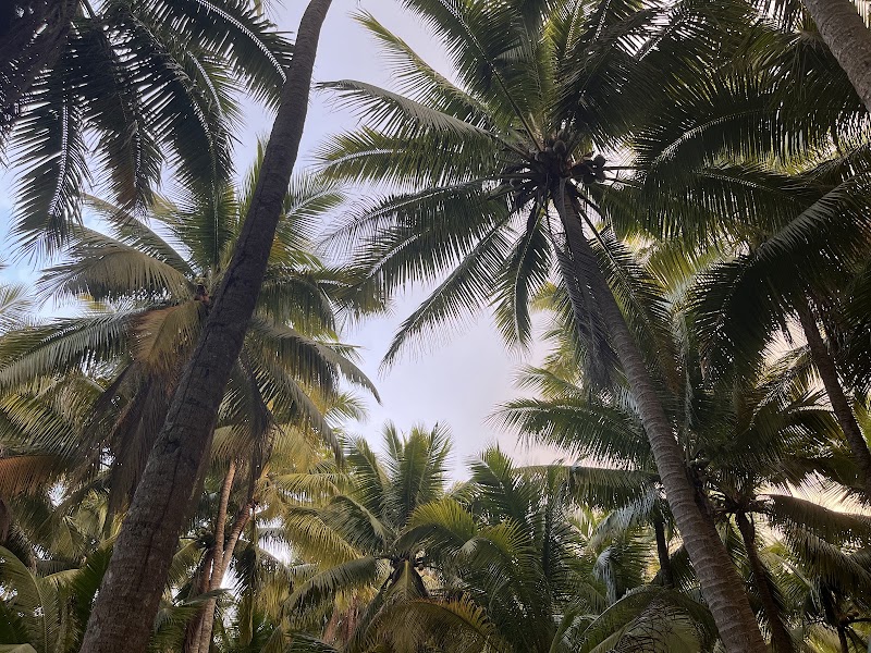 Heng Wei Ye Nai Ji — Hainan Cuisine — Hainan Island Loop — China
