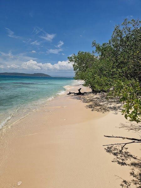 Lime Cay — beach — Blue Mountains and North Coast Jamaica — Jamaica