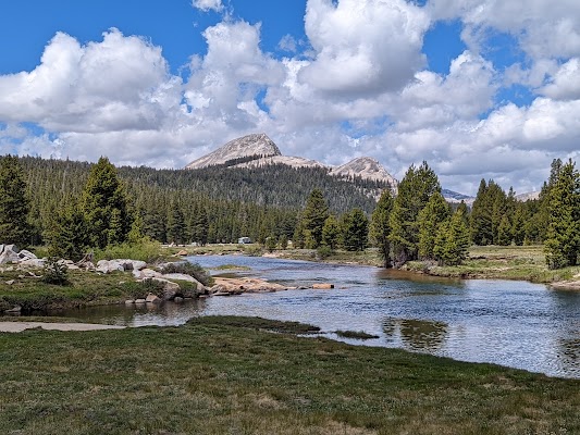 Tuolumne Meadows
