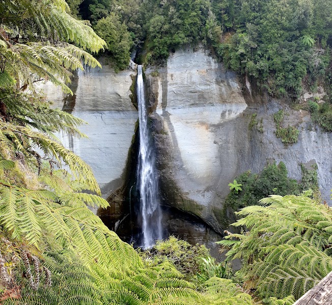 Mount Damper Falls Track — Optional waterfall walk — Forgotten World Highway — New Zealand