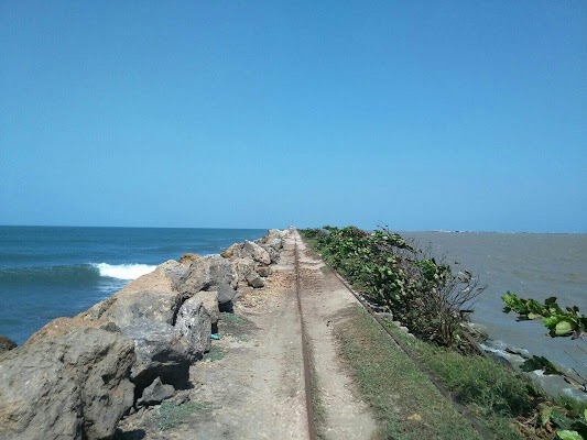 Bocas de Ceniza