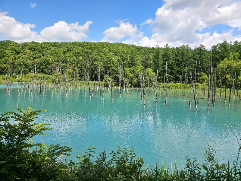 Shirogane Blue Pond — Nature — Hokkaido Flower Route — Japan