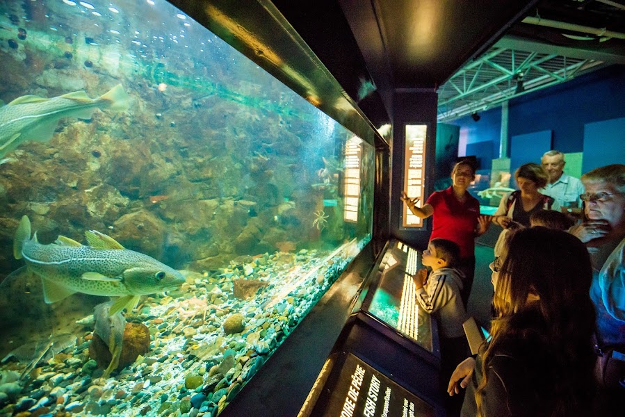 Exploramer — Aquarium — Gaspésie Loop — Canada
