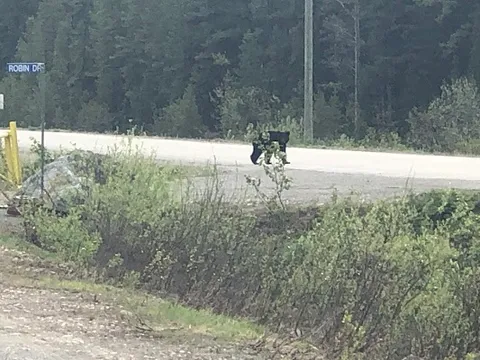 Jade City — Landmark — Stewart-Cassiar Highway — Canada
