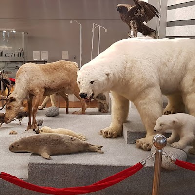 Magadan Regional Museum