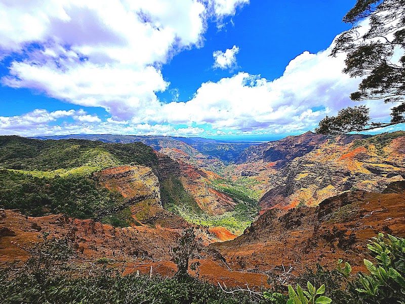 Canyon Trail to Waipo'o Falls — Hike — Waimea Canyon Drive — United States
