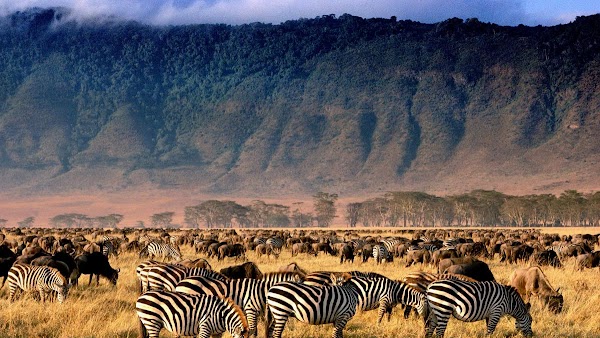 Ngorongoro Crater Viewpoint