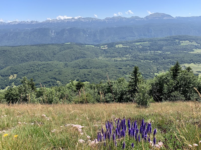 Vassieux-en-Vercors