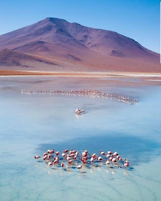 Laguna Colorada