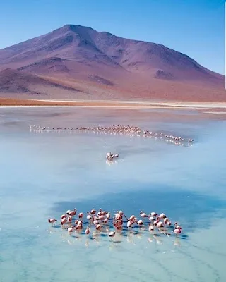 Laguna Colorada — Nature — Salar de Uyuni Circuit — Bolivia