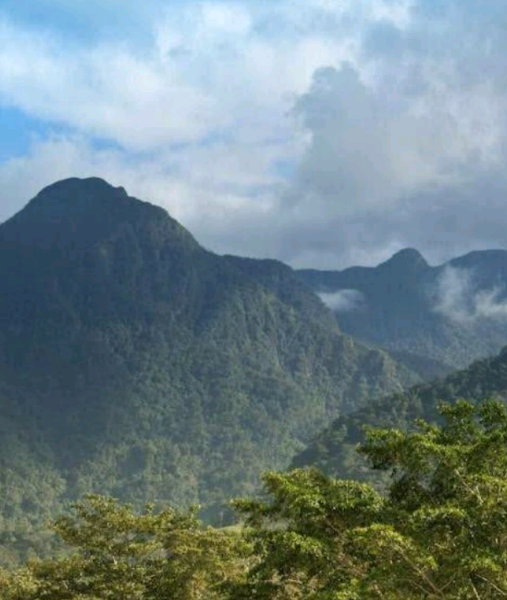 Pico Bonito National Park — Nature — Copan to the Caribbean Coast — Honduras