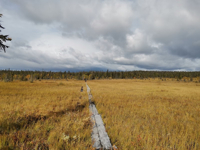 Urho Kekkonen National Park — Nature — Finnish Lapland Arctic Road — Finland