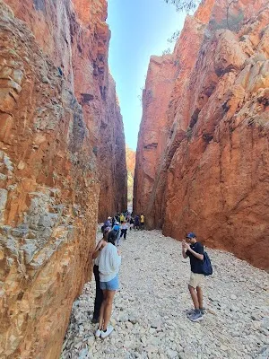 Standley Chasm — Nature — Uluru & The Red Centre — Australia