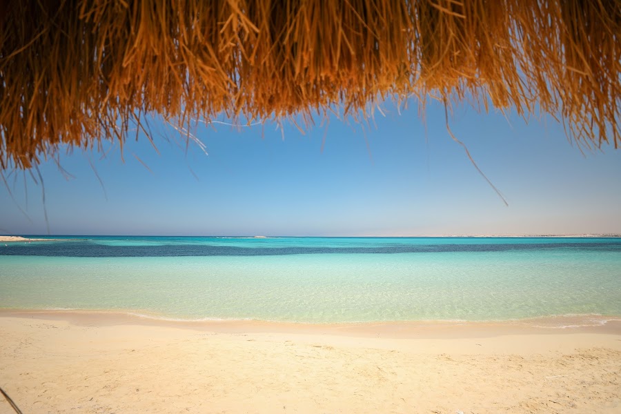 Bait Al Bahr — Seafood and Egyptian — Hurghada to Marsa Alam Red Sea Coast — Egypt