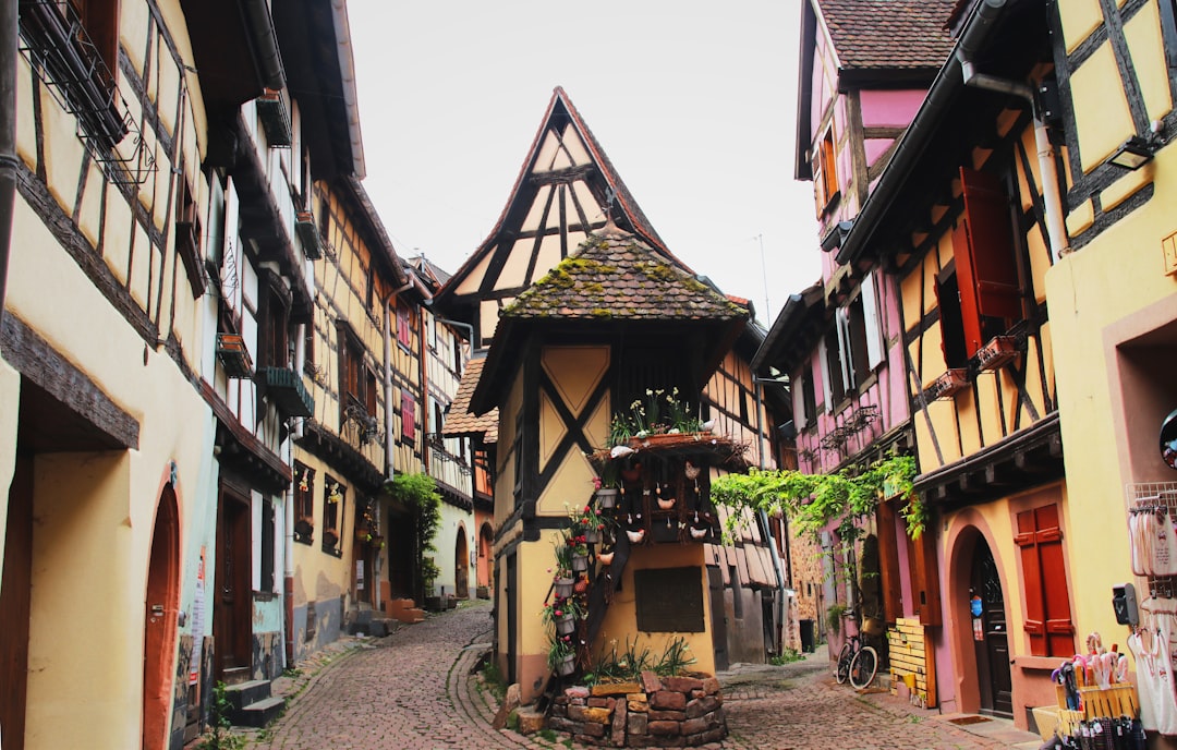 Alsace Route des Vins