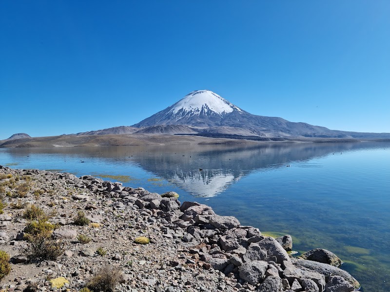Arica to Lauca and Putre Altiplano