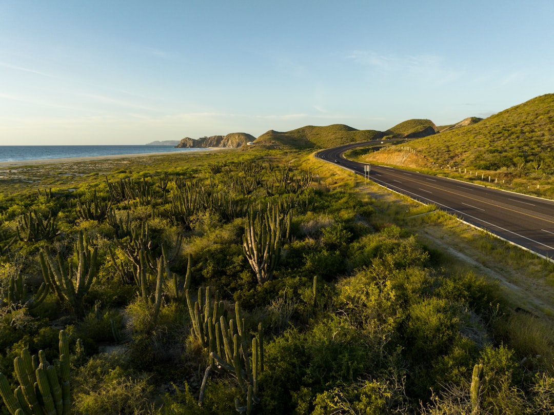 Baja California Highway 1