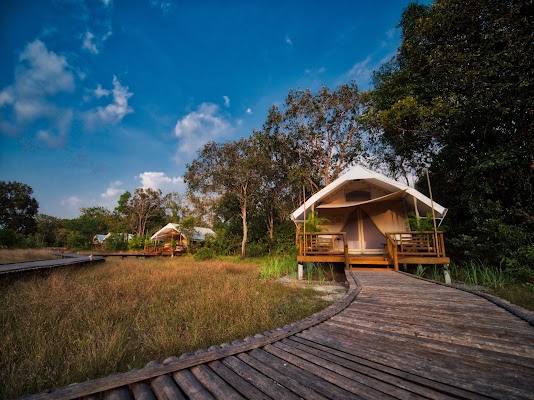 Cardamom Mountains