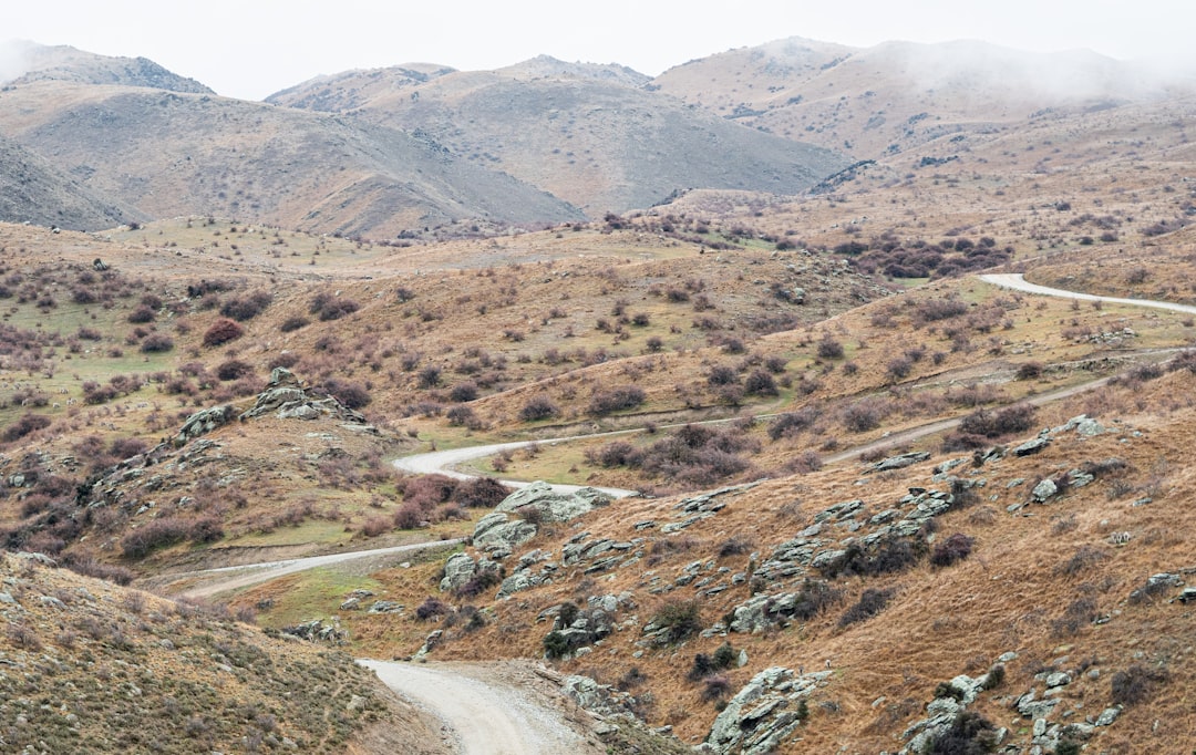 Central Otago Wine Trail