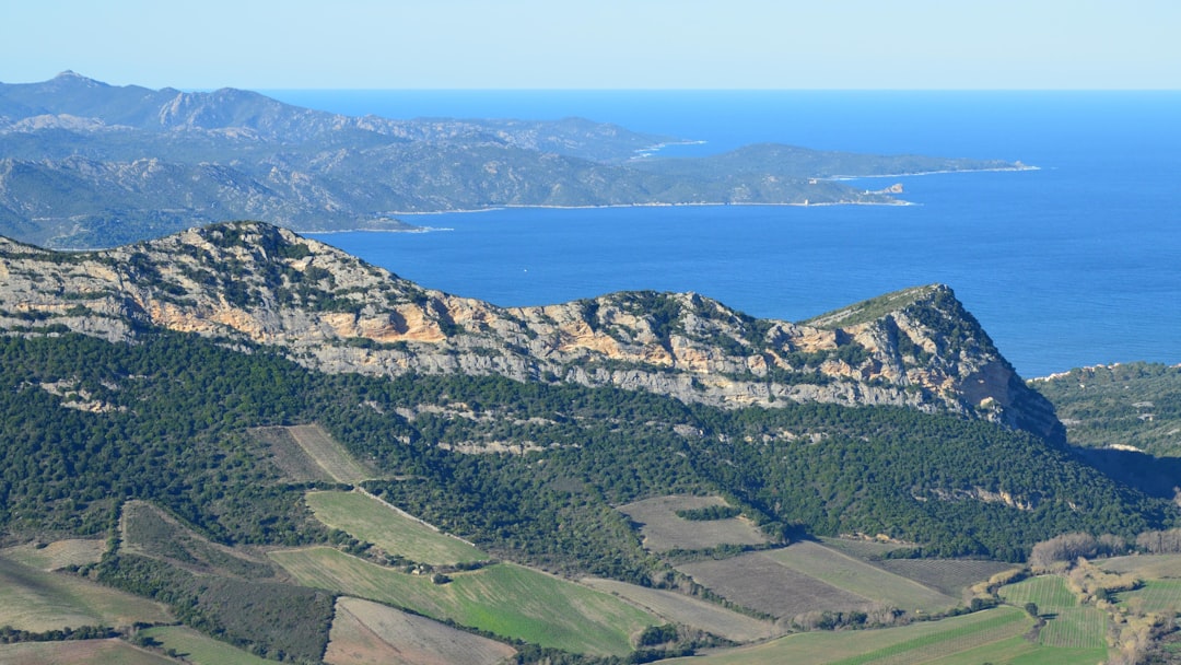 Corsica Island Drive