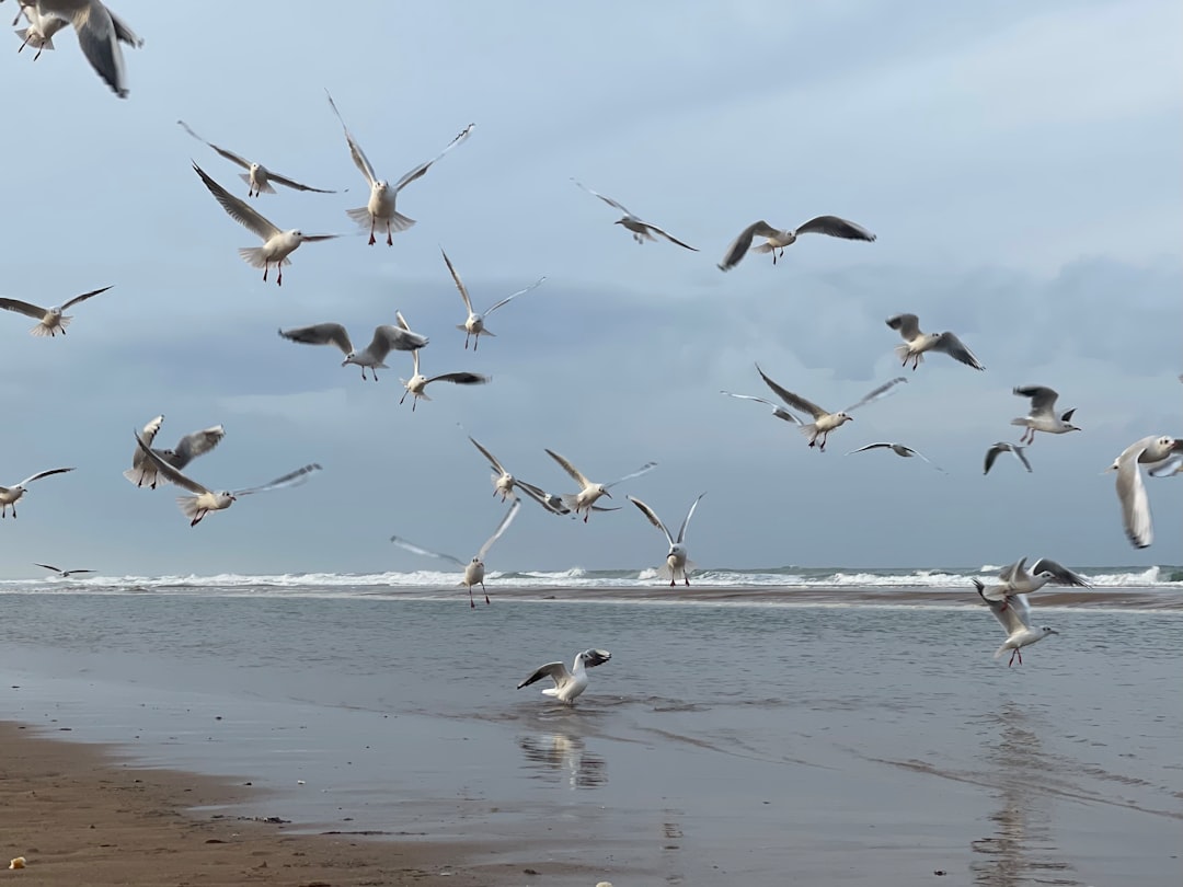 D-Day Beaches