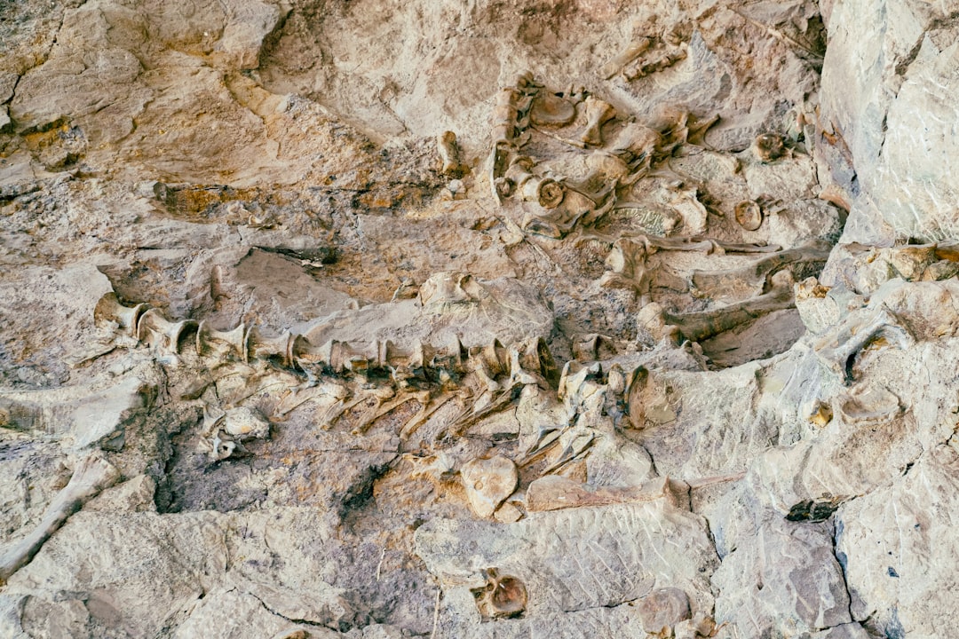 Dinosaur Diamond Prehistoric Highway
