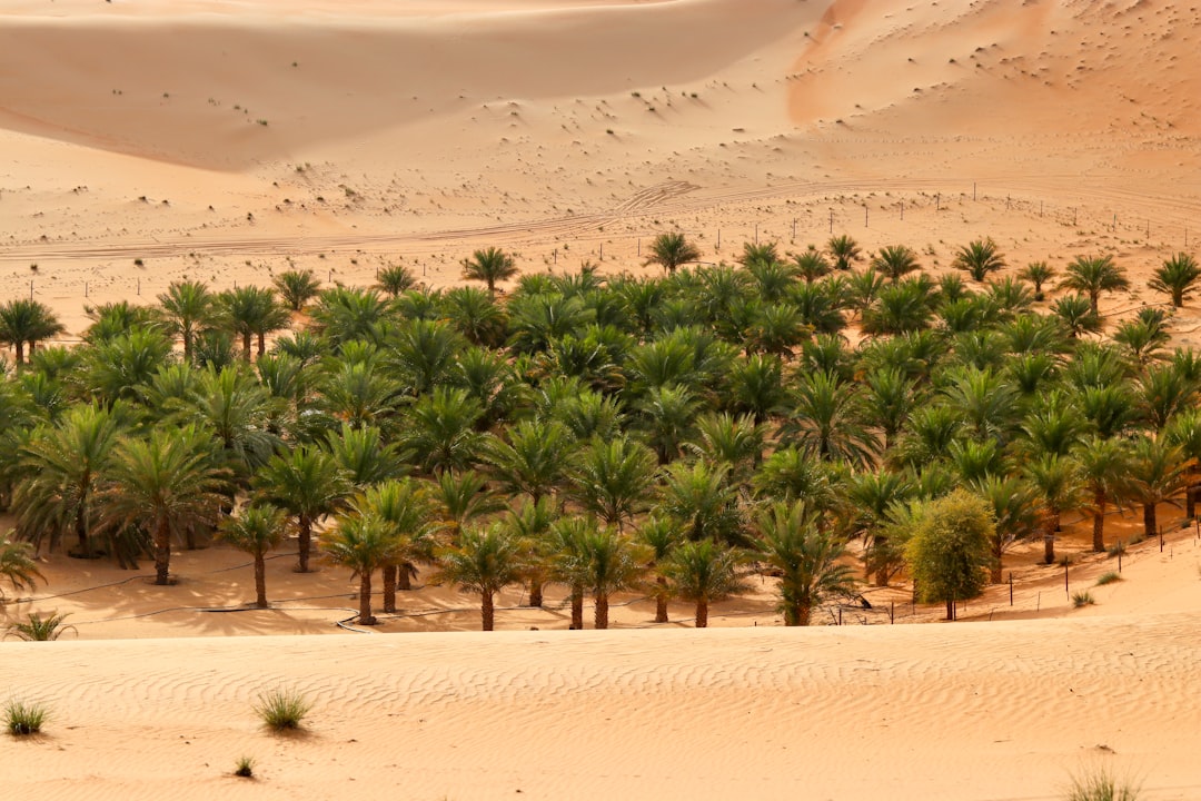 City to Desert: Dubai to Liwa