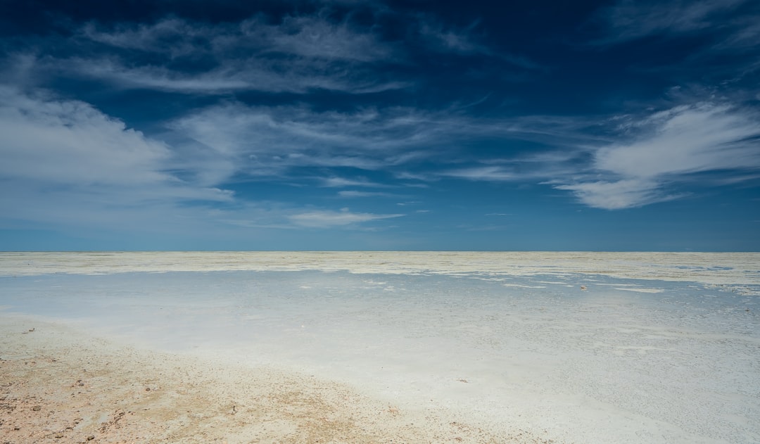 Etosha Pan Circuit