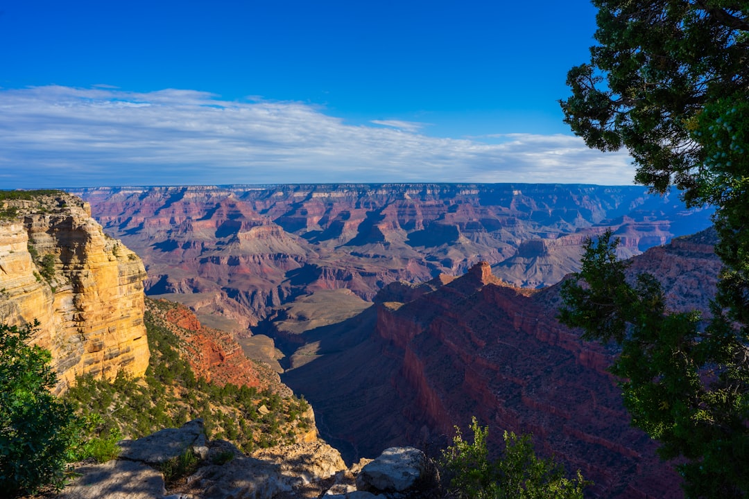 Fantastic Canyon Voyage