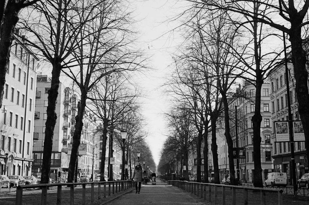 German Avenues Route