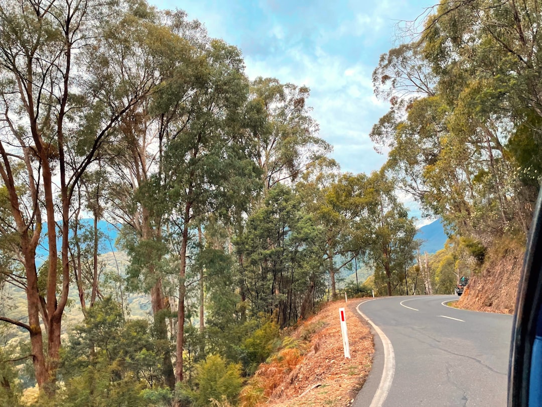 Great Alpine Road