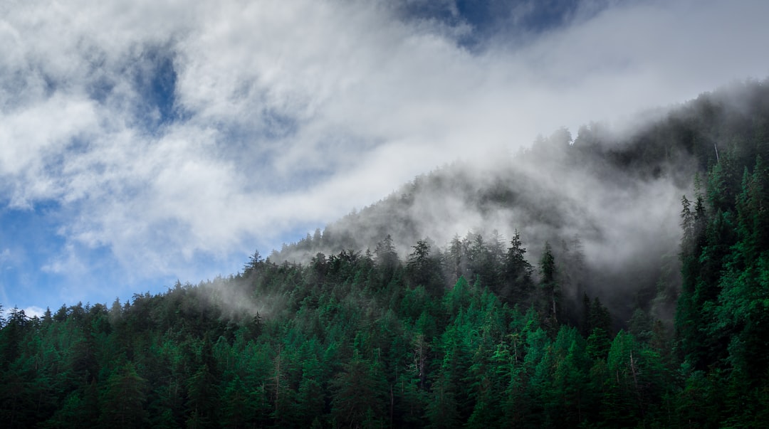 Haida Gwaii Adventure