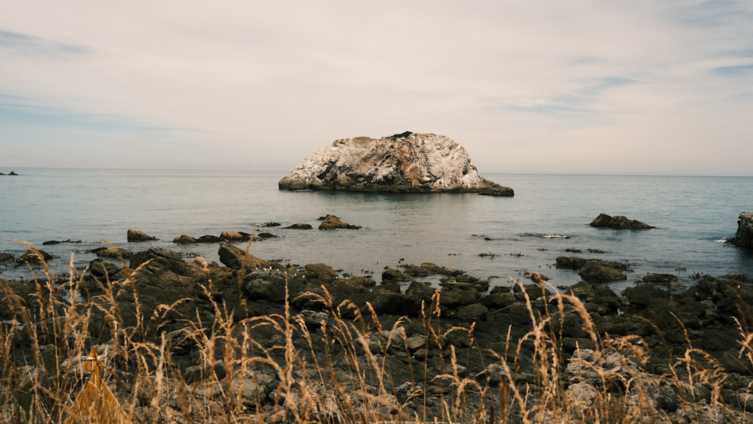 Kaikoura Coast