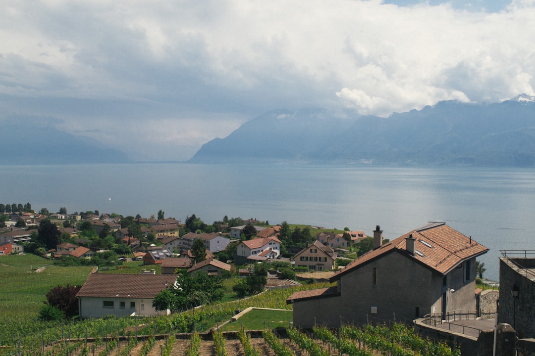 Lavaux Vineyards