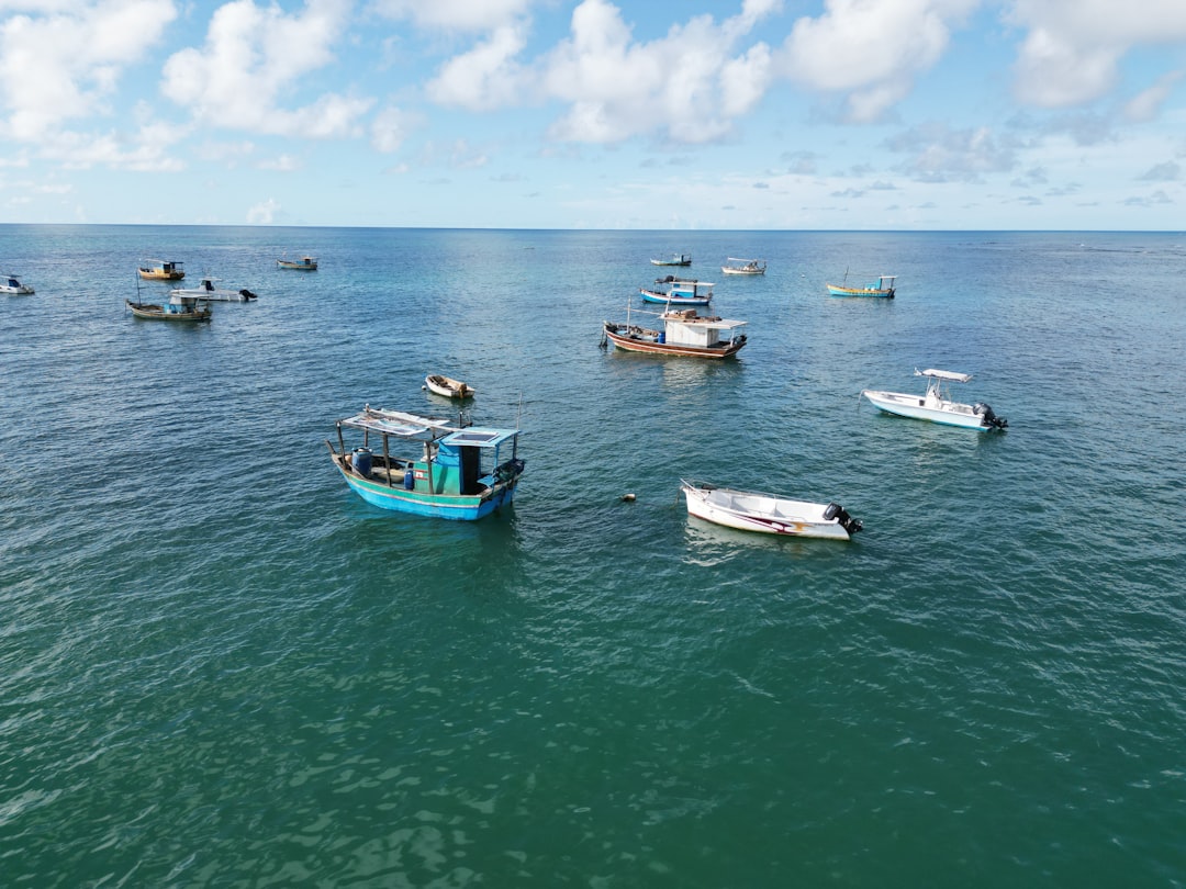 Linha Verde, Coconut Coast
