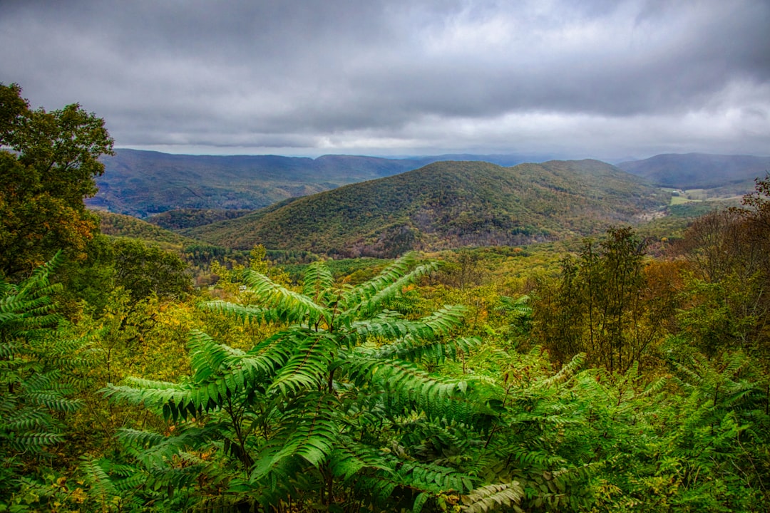 مسار Lonesome Pine