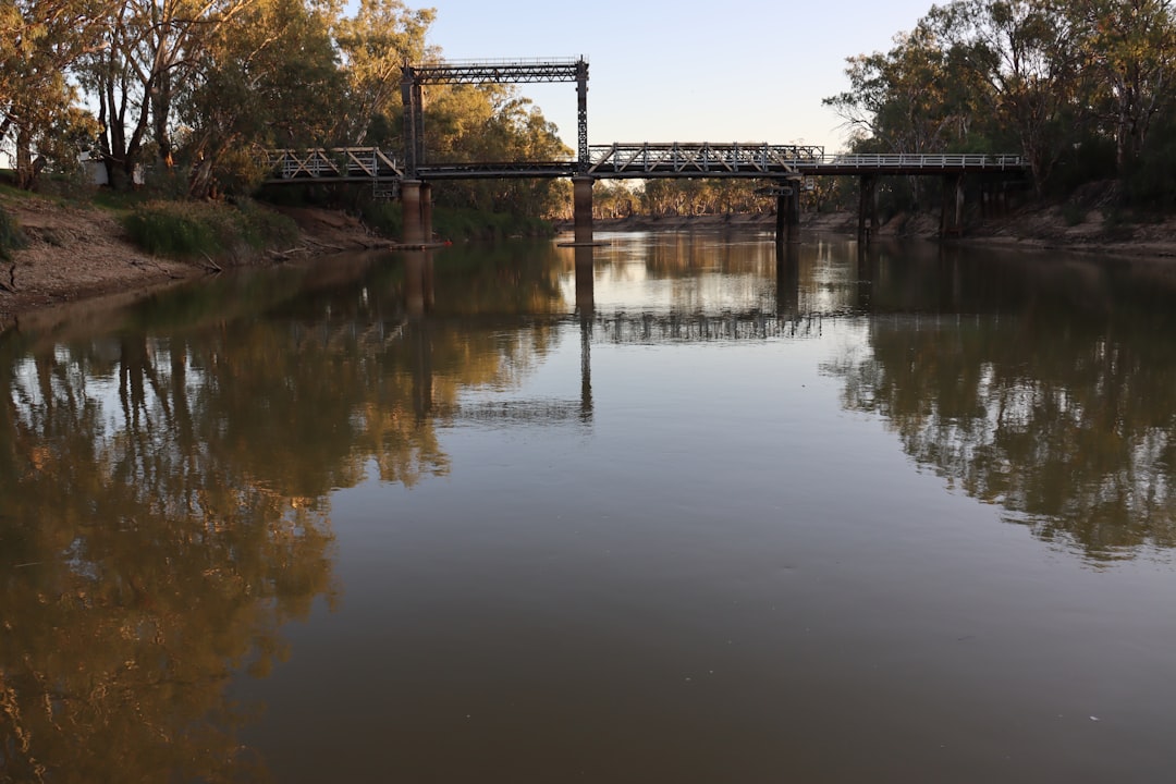 Along the Murray River
