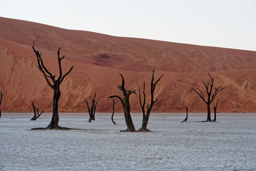 Namib Desert Circuit