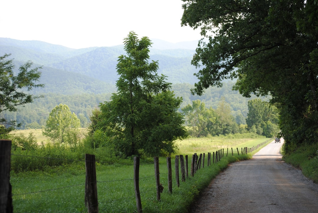 Natchez Trace Parkway