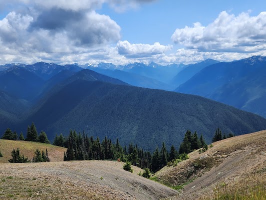 Olympic Peninsula Loop